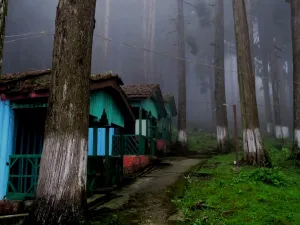 Landscape