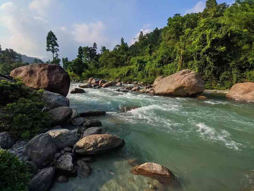 Landscape